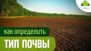 Типы почвы, ее состав и показатели. Почвоведение для ландшафтного дизайна