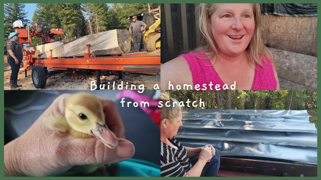 Sawmilling Lumber//Back to waterproofing the deck and shipping container//vlog24