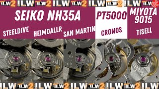 NH35A  v  PT5000  v  Miyota 9015  -  Steeldive  v  Heimdallr  v  San Martin  v  Cronos  v  Tisell