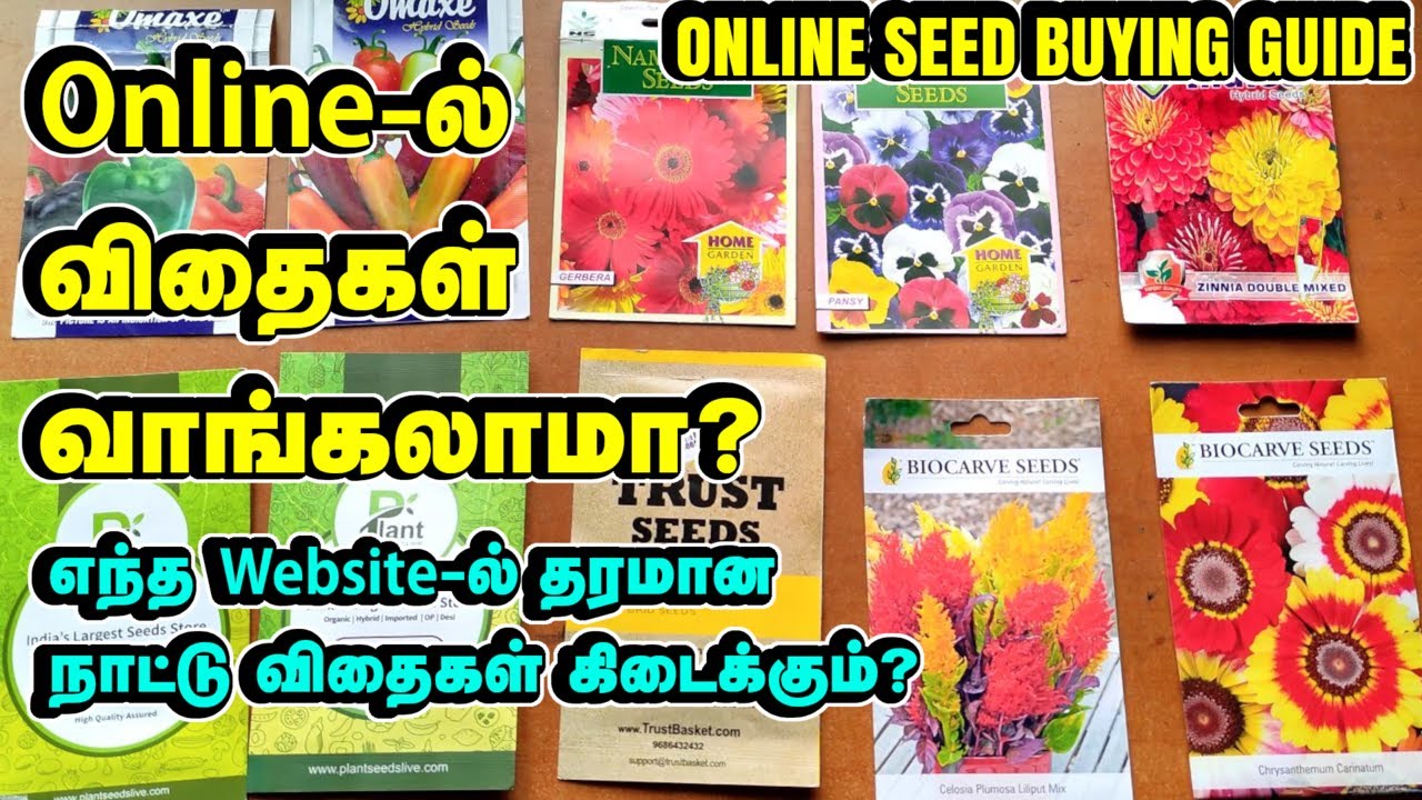 நாட்டு விதைகள் Online-ல் வாங்கலாமா?. எந்த Website விதைகள் வாங்க சிறந்தது? | Online seed buying guide
