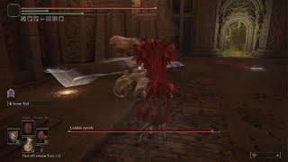 ELDEN RING - Godskin Apostle - No Damage/Parry/Journey 3/Str Build