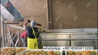 Pineapple Washing And Drying Machine