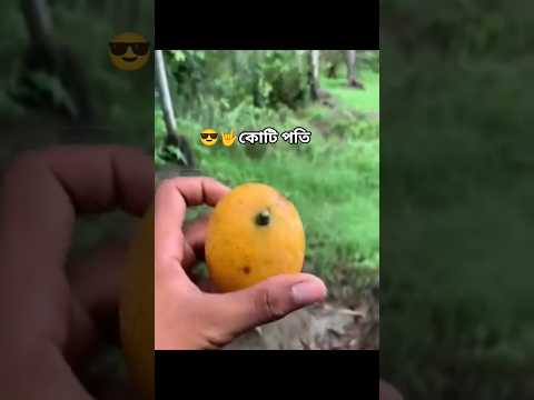 😎🤟কোটি পতি হয়ে গেলাম🤑#viral #funny #memes