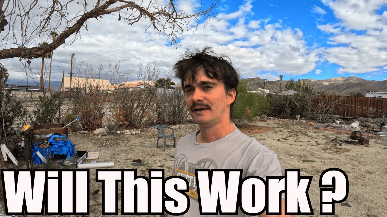 Буду ли я зарабатывать с UberEATS или вернусь к работе в розничной торговле?