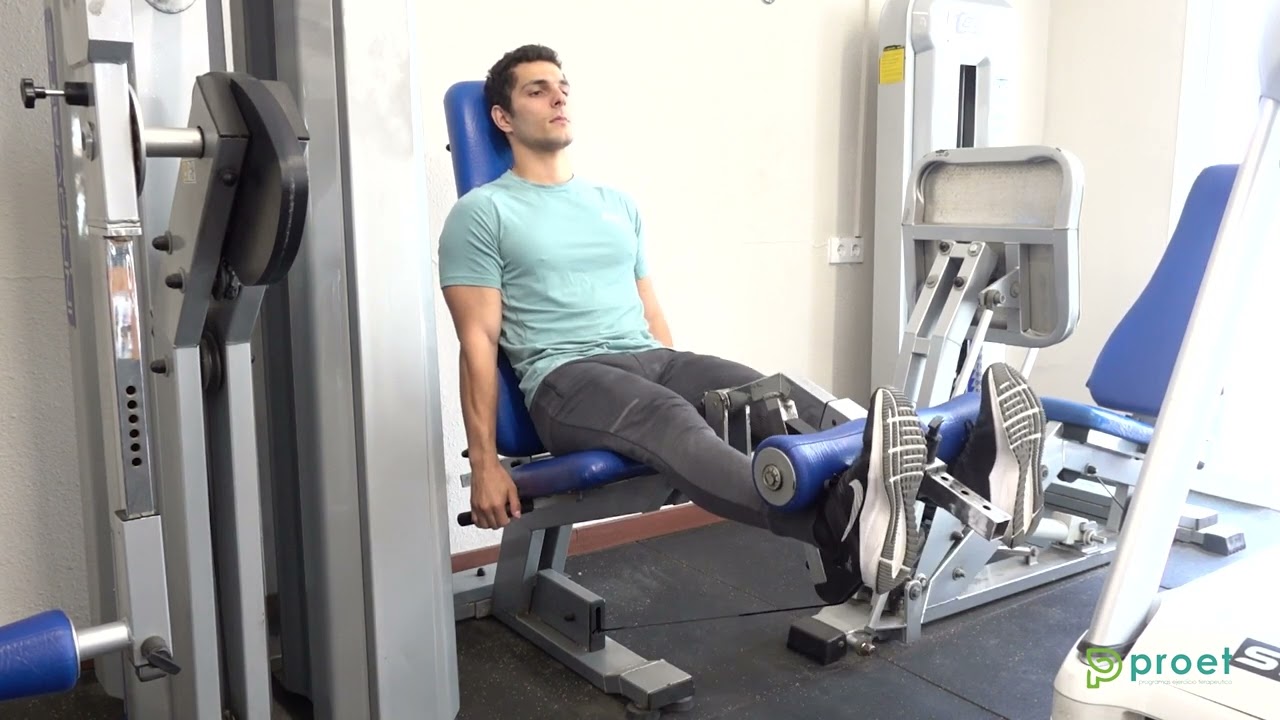 Seated machine leg extension - Exercises, workouts and routines