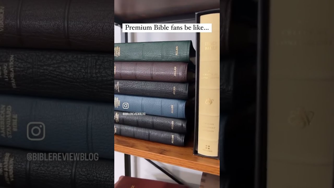 My Favorite Premium Bibles Shorts