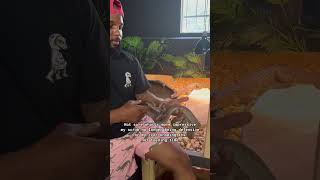 Scrub pythons and crocodiles, I feel like im in Australia 😎