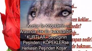 Sevenler için gelsin