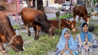 Lebaran Kurban - Selamat Hari Raya Idul Adha - Mbak Kunyit Kesiangan 🤣 Aqilla's Diary