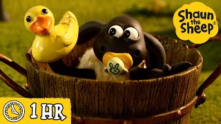 Shaun the Sheep 🐑 Timmy's Bath Time & MORE 🧼 Full Episodes Compilation