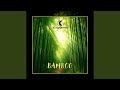 Bamboo Radio Edit mp3