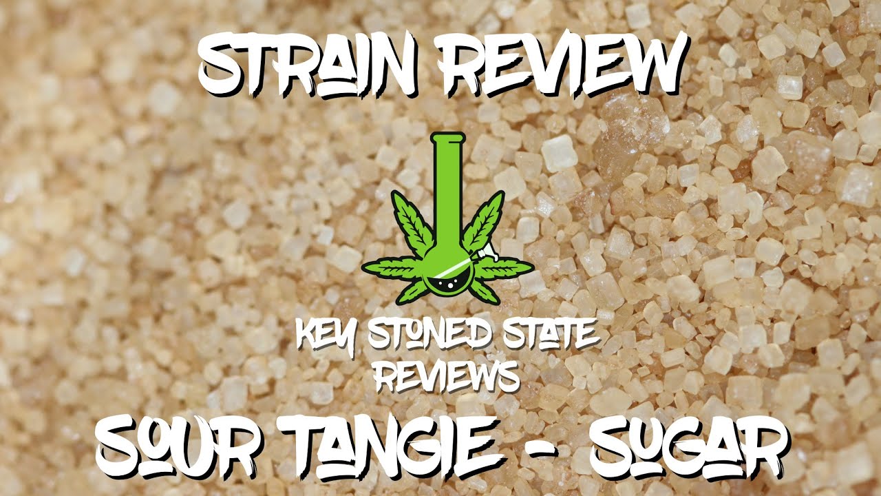 Sour Tangie Sugar/ Strain Review/ PA Medical Marijuana