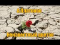 А.Платонов "Неизвестный цветок"
