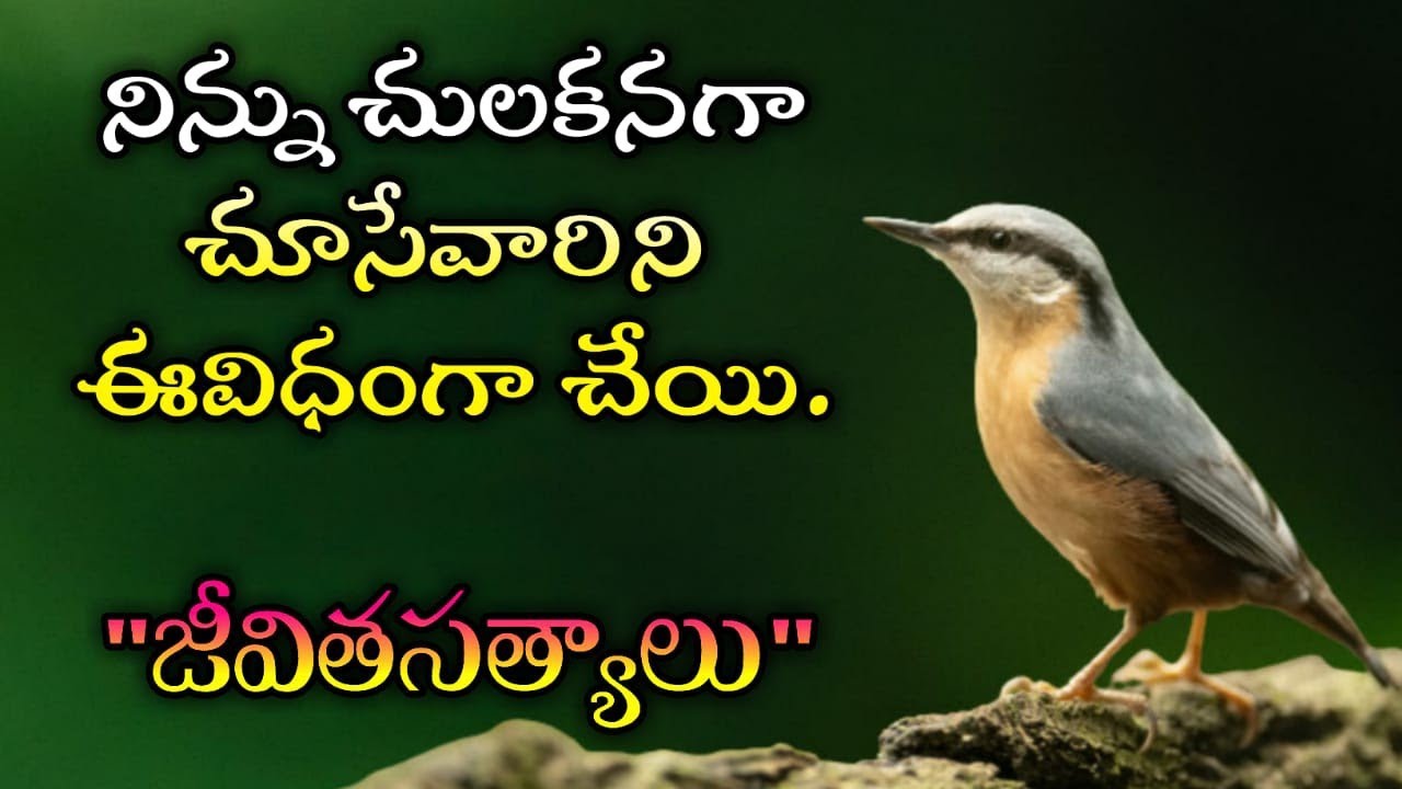 జీవిత సత్యాలు #235 |మంచి మాటలు|Inspirational quotes|Motivational quotes|సూక్తులు|Telugu quotes