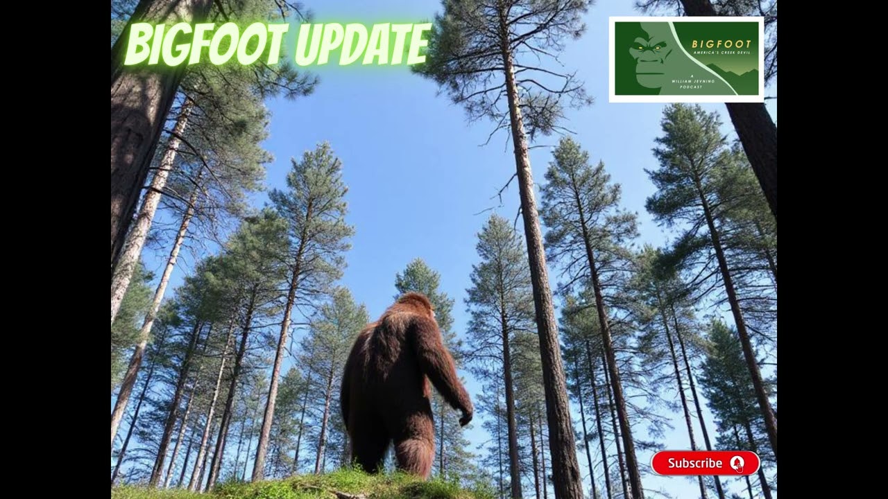 Bigfoot Spotted Again! Real or Fake?