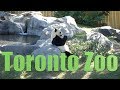 Canada 58  toronto zoo  zoological park  animal park