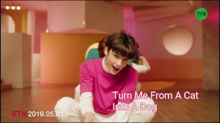 TXT - Cat & Dog English Version Teaser  Lyrics