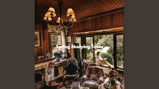 Modish Ambience for Sunday Working