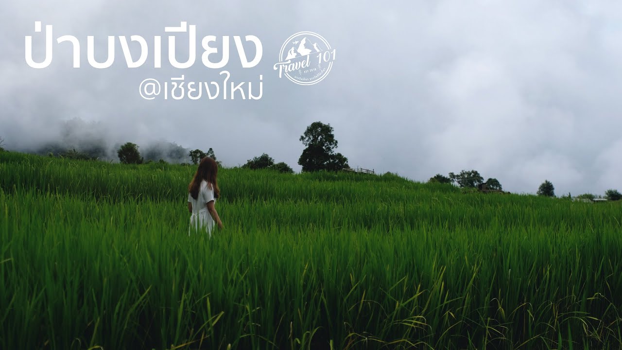 เที่ยวป่าบงเปียง วิวนาขั้นบันไดกลางหุบเขา เชียงใหม่ | EP.15 Kowit Farmstay