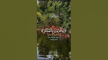 قرآن كريم راحة نفسية #اكسبلور #المصحف #راحة_نفسية #الرحمن #quran