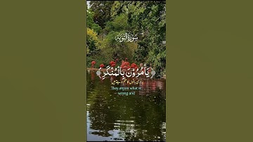قرآن كريم راحة نفسية #اكسبلور #المصحف #راحة_نفسية #الرحمن #quran