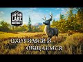 theHunter: Call of the Wild (часть 2) ⊕ Разбираюсь с баллистикой