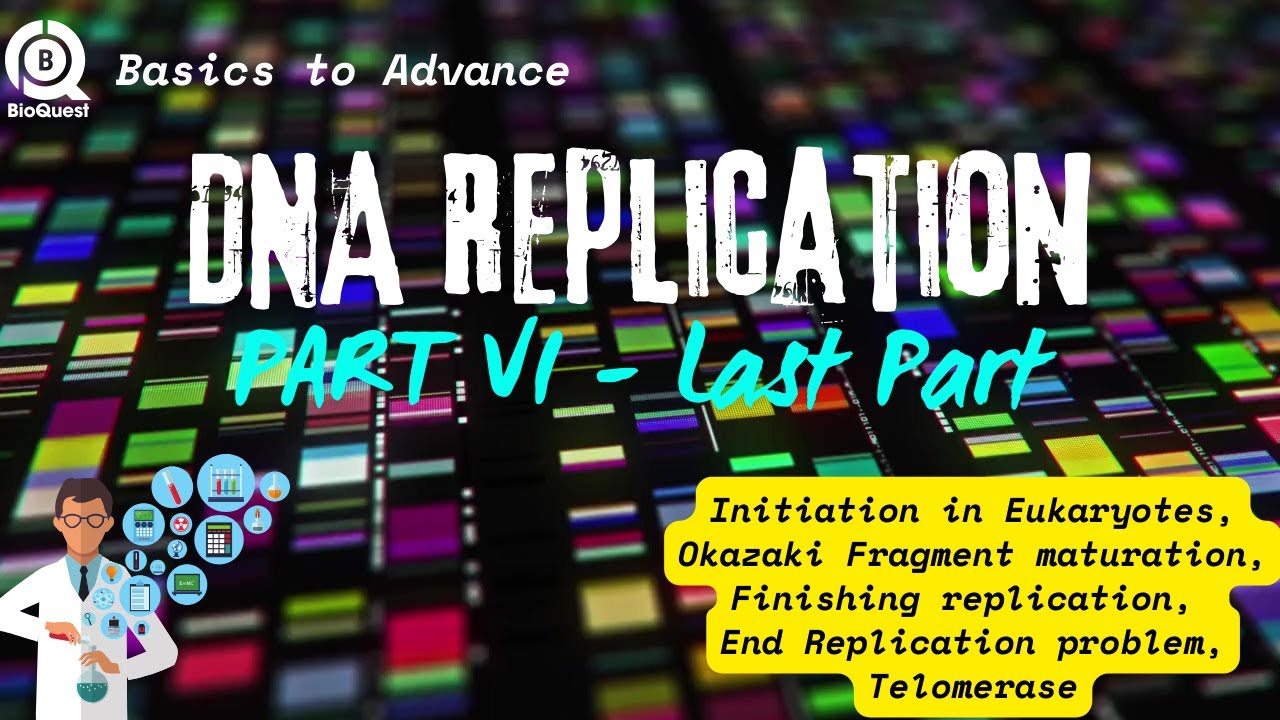 Replication Initiation in Eukaryotes // Okazaki Fragment maturation // DNA Replication // Part VI