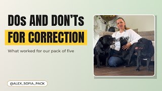 Important DONTs when you correct your dog