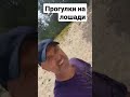 Прогулка на лошади