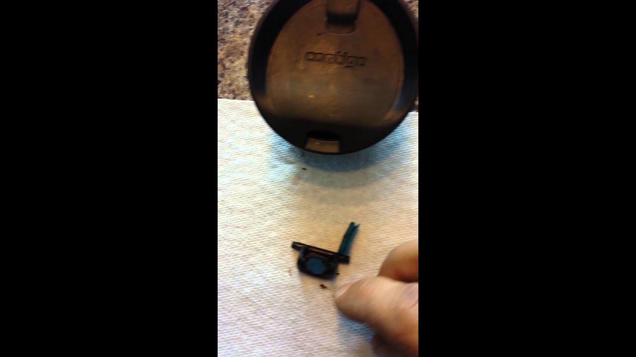 Mold in my coffee travel mug with sealed lid? YouTube