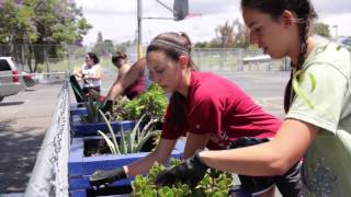 2015 Elevate Day #2 Highlight