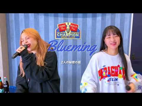 Blueming / IU (아이유) Japanese Lyric ver. (Covered by FlipHigh)