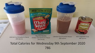 Soup and Shake Diet Day 4 (9th September 2020)