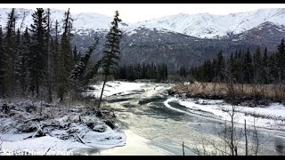 Alaska - Riverbank Freezing Over
