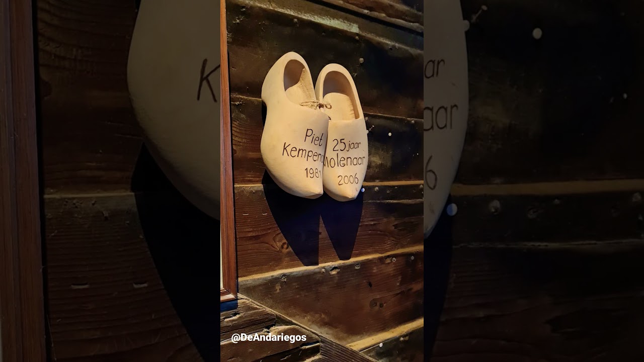 Como es un Molino por dentro?  