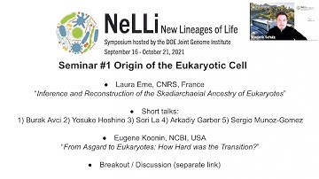 NeLLi 2021 Seminar 1: Origin of the Eukaryotic Cell