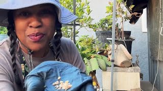 Download lagu “ Garden Walkthrough & Planting Seeds | Watch Our New Growth Begin!” #garden #growyourownfood 