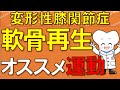 変形性膝関節症 軟骨再生！ おすすめ運動は？ 【医師が解説】