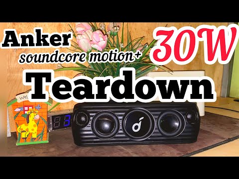 Anker Soundcore Morin+
