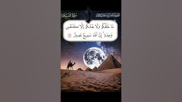 سورة لقمان الآية ( 28 )