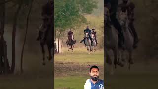 #halimasavesertugrul #rdr2 #ertugrulgahzi #horse #history #movie #gaming #bala #love #osmanghazi