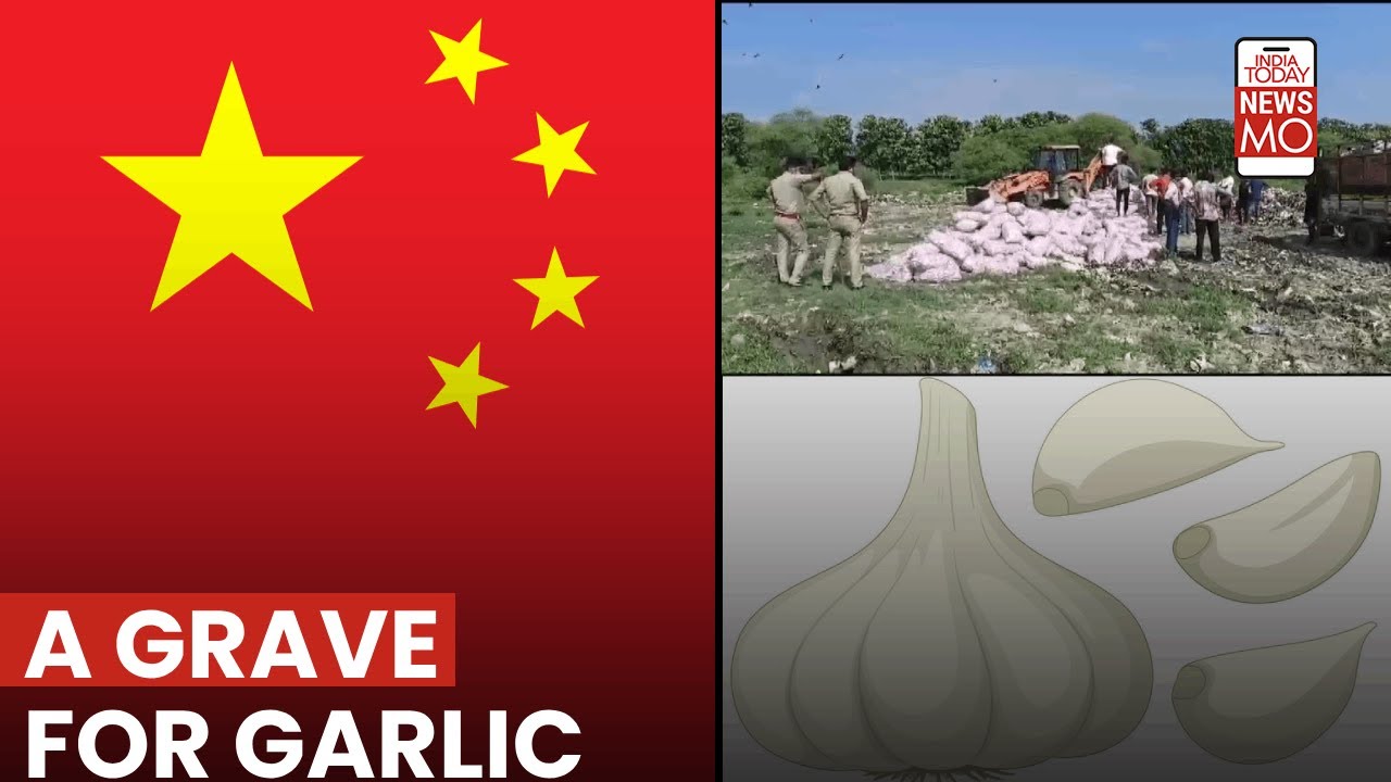 India Destroys Chinese Garlic Smuggled From Nepal