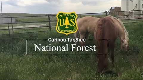 Day four rangeland management training