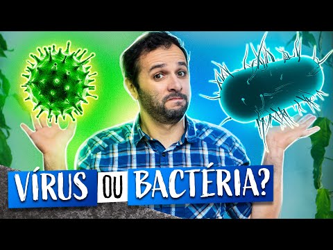 Vídeo: Compost Bacteria - Saiba mais sobre que tipo de bactéria está no composto