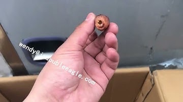 Commercial Date Palm/Cherry/Olive Small Fruit Meat Pit Removing Machine Red Dates Pitting Machine