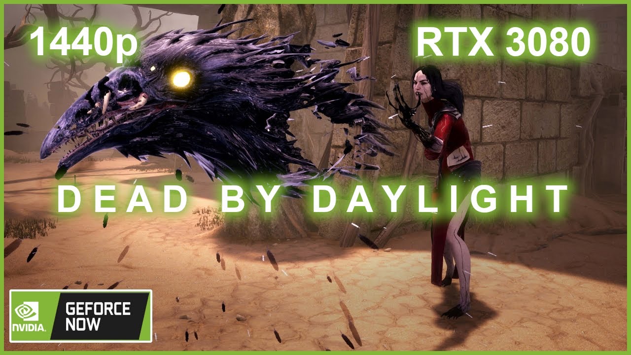 Dead By Daylight GeForce Now RTX 3080 1440p - YouTube