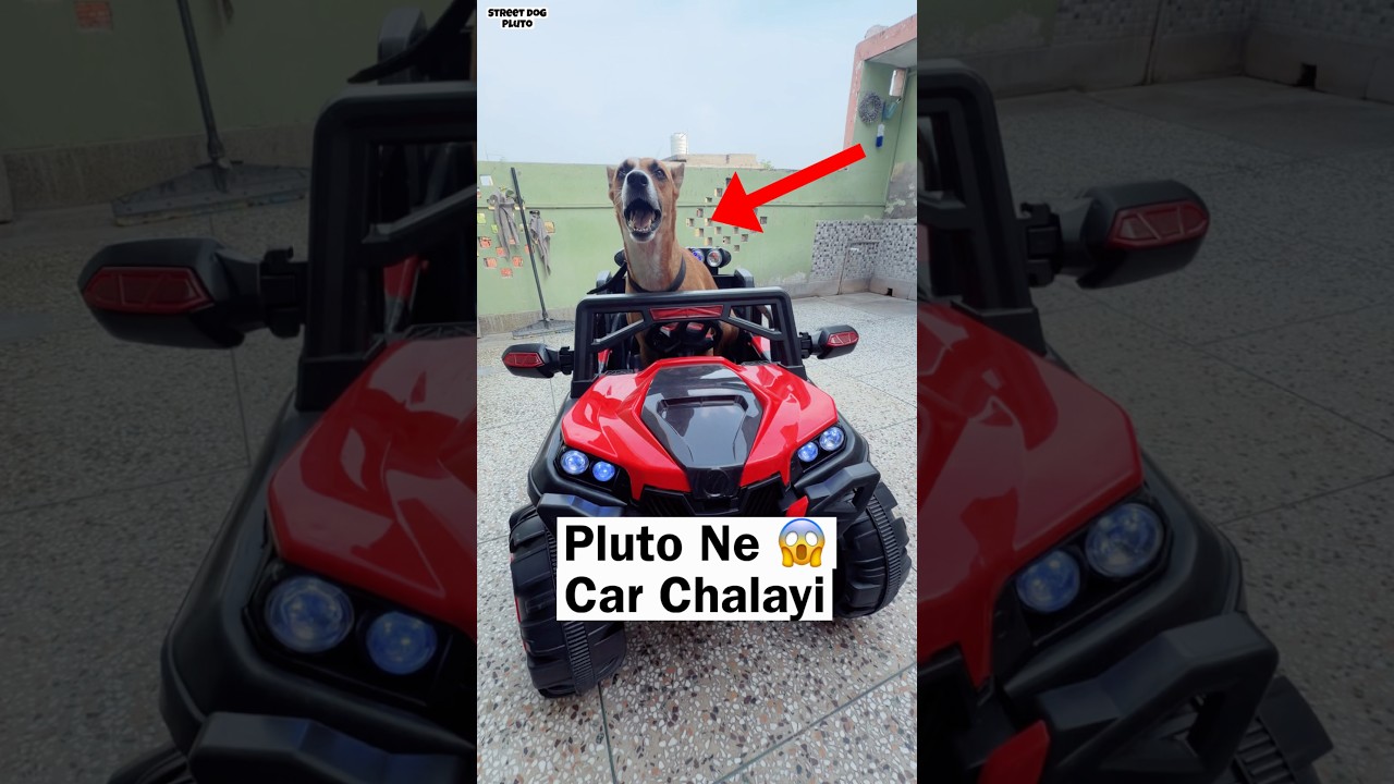 Latest Title & Thumbnail