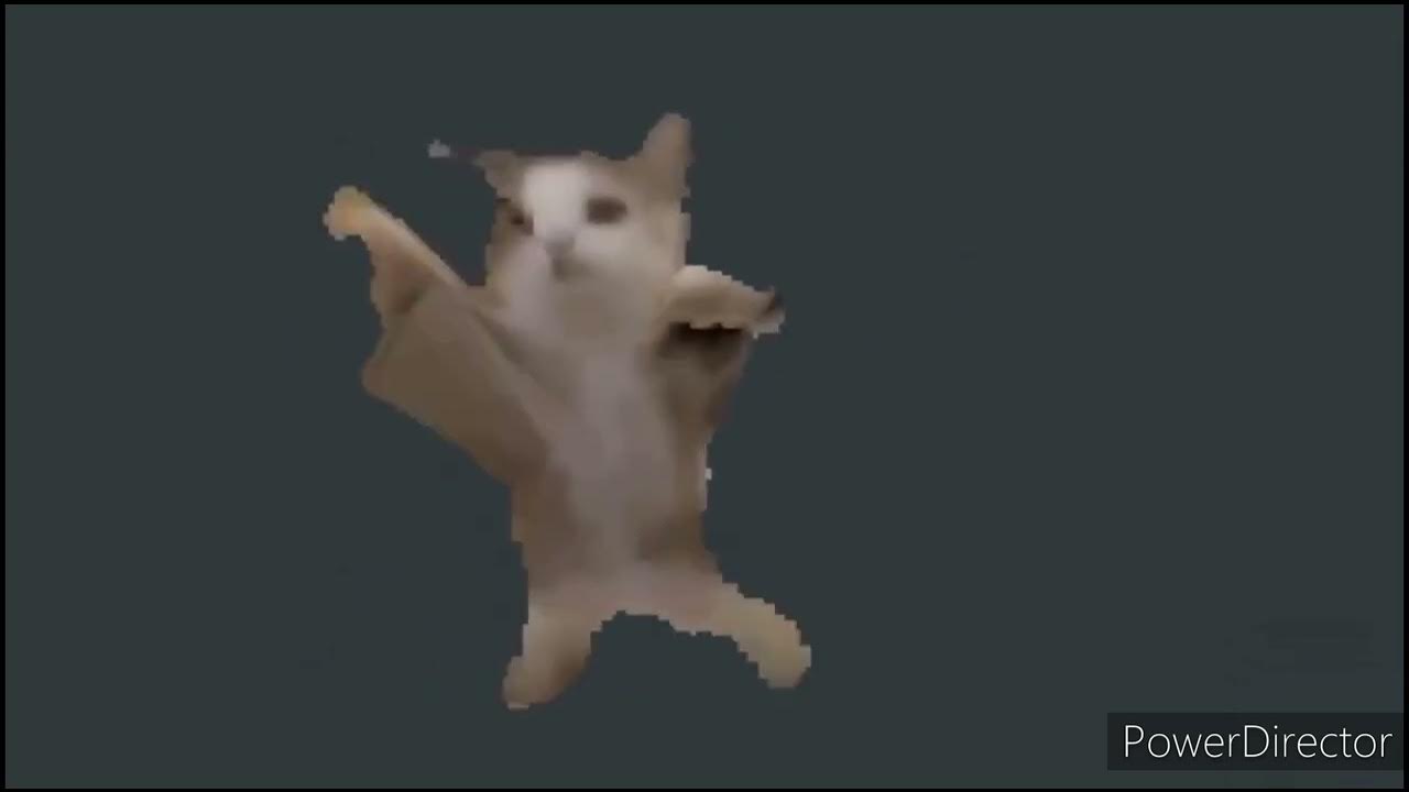 Шнип шнап шнапи мем с котом