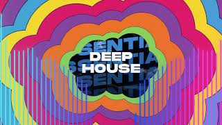 TOP 5 DEEP HOUSE  10 07 2023 PANO Resimi