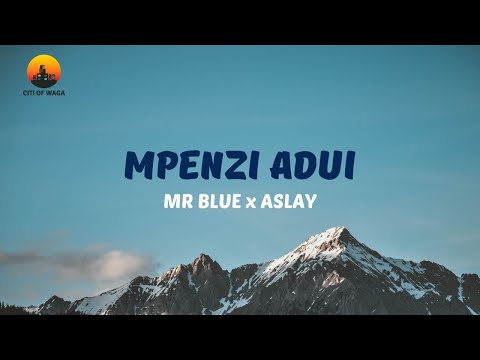 Mr Blue Ft Aslay Mpenzi Adui Official Video Lyrics 